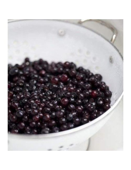 Arándanos Silvestres Congelados Northwest Wild Foods 4.08kg