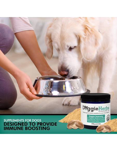 Suplemento Inmunitario para Perros Hierbas para Perros 100g