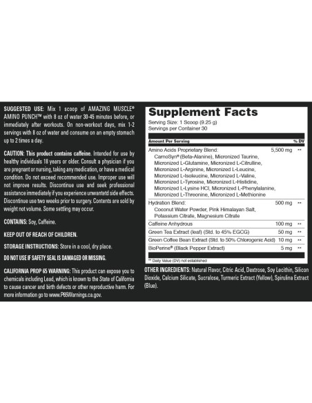 Amino Punch Muscular Amazing Nutrition 30 Porciones Sabor Manzana