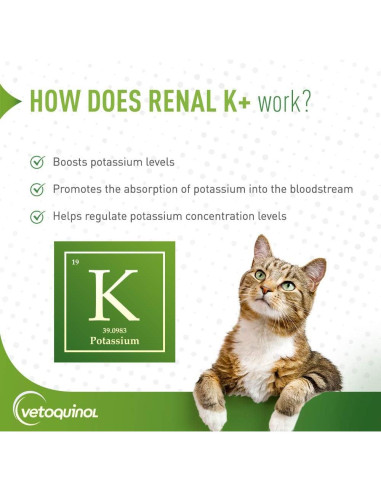 Suplemento de Potasio Vetoquinol Renal K+ Gel 142g para Mascotas