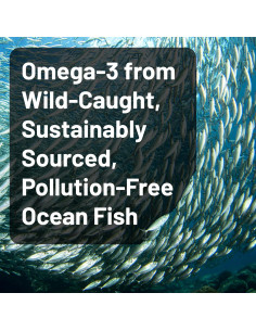 NatureWise Aceite de Pescado Omega 3 4080mg - Sin Eructos - 120 Gelatinas Blandas 2