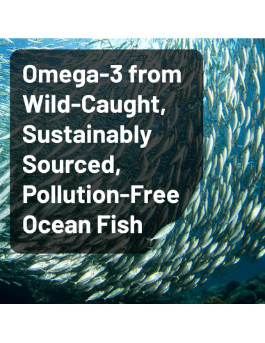 NatureWise Aceite de Pescado Omega 3 4080mg - Sin Eructos - 120 Gelatinas Blandas