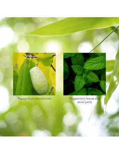 Tabletas Masticables de Papaya y Menta Nature's Sunshine 70u