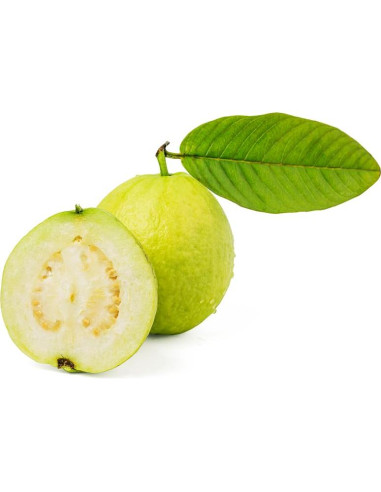 Extracto de Guayaba OliveNation 453g - Sabor Tropical Vegano