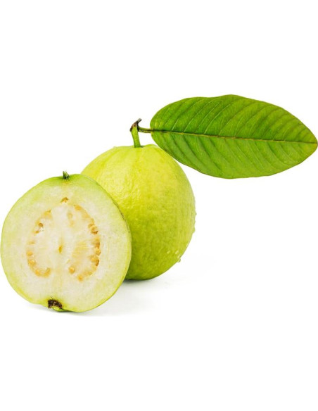 Extracto de Guayaba OliveNation 453g - Sabor Tropical Vegano