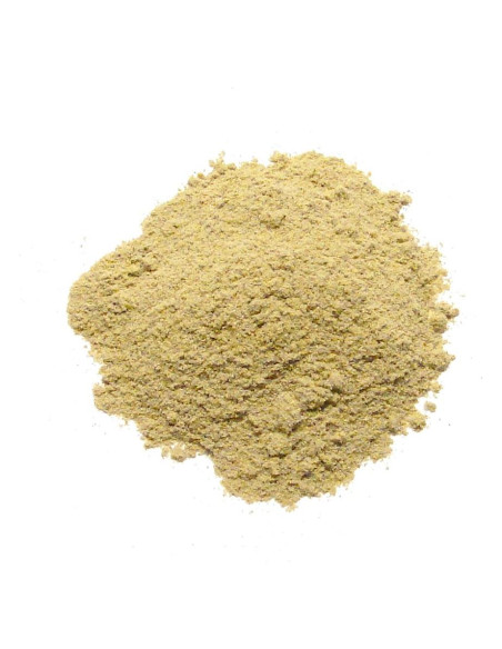 Polvo de Romero Molido 226g - Sabor Intenso para Cocinar