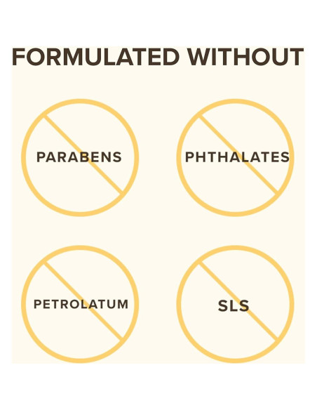 Set de Regalo Hidratación Burt's Bees - Balsamo Labial, Limpiador y Loción
