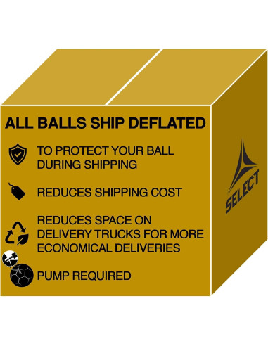 Balón de Fútbol Select Brillant Super TB 66cm Microfibra