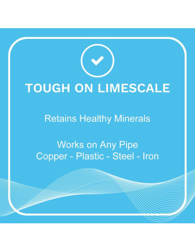 Descalcificador de Agua Eddy ED6002P Sin Sal para Toda la Casa