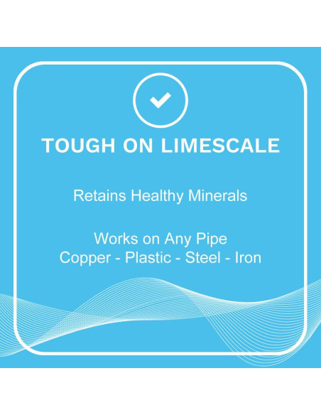 Descalcificador de Agua Eddy ED6002P Sin Sal para Toda la Casa