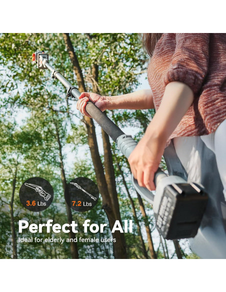 Sierra de Poste 2-en-1 TaskStar 8" Inalámbrica con Baterías