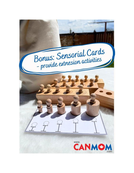 Bloques de cilindros Montessori con perillas - 4 bloques