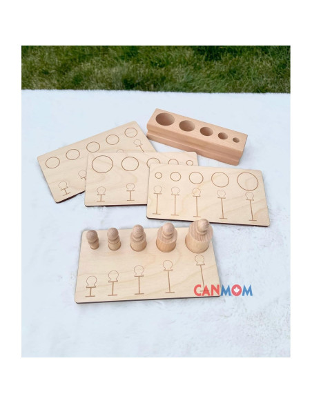 Bloques de cilindros Montessori con perillas - 4 bloques