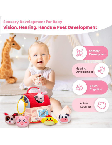 Juguetes Sensoriales para Bebés PADONISE 6-36 Meses