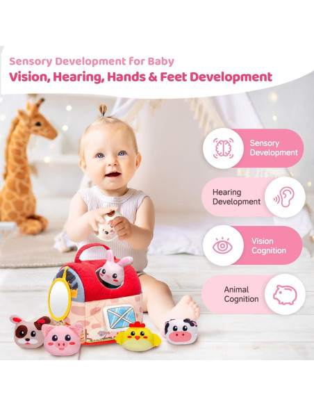 Juguetes Sensoriales para Bebés PADONISE 6-36 Meses