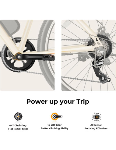 Bicicleta Eléctrica Jasion EB5 750W 64Km 7 Velocidades