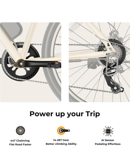 Bicicleta Eléctrica Jasion EB5 750W 64Km 7 Velocidades