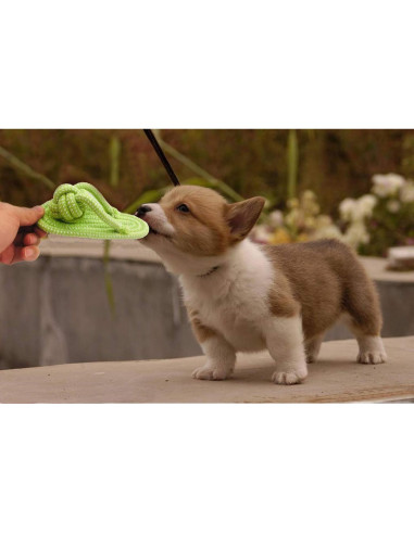 Juguete Interactivo para Perros Sunglow Cuerda y Bola 30cm