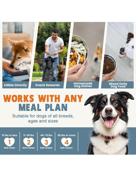 Multivitamínicos Masticables para Perros TTLXBL 300 Ct Pollo