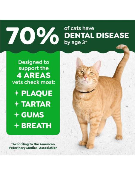 Premios Dentales Feline Greenies Pollo 0.59 kg para Gatos