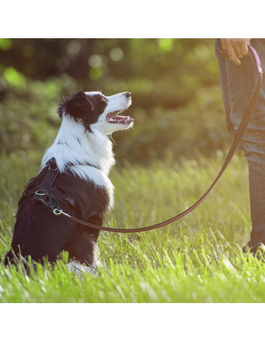 Clip de Carabinero Ahiller CD-LKK 3" Doble Anti-Apertura