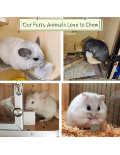 20 Pcs Bloques de Lava Hamiledyi para Chinchillas y Conejos 2