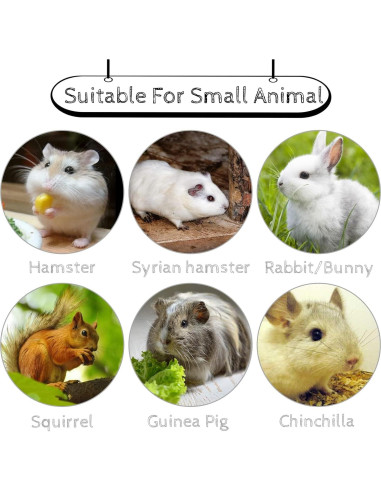 20 Pcs Bloques de Lava Hamiledyi para Chinchillas y Conejos