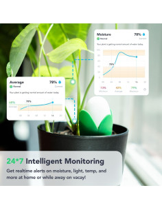 Monitor de Plantas Inteligente Flora Pod - Alertas de Salud 2