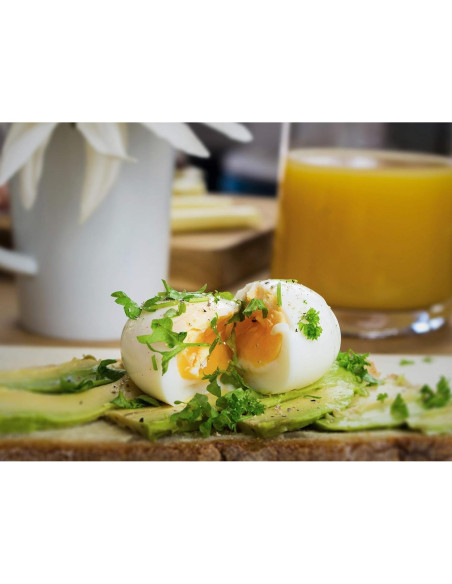 Temporizador de Huevos BeepEgg Brainstream 50s - 3 Niveles