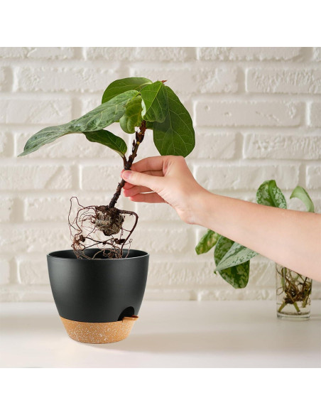 Macetas Autorriego SUN-E 5pcs Set Plástico Negro 17.78-12.7cm