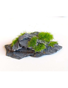 Rocas de Pizarra Artificial Kai Dream 24 Piezas para Dioramas 2