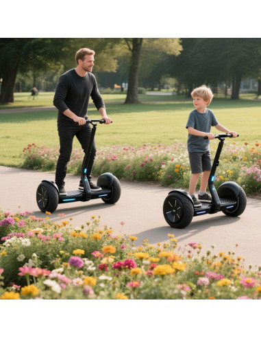 Batería de Litio 36V 4.4Ah H0vgvoard con Conector XT60