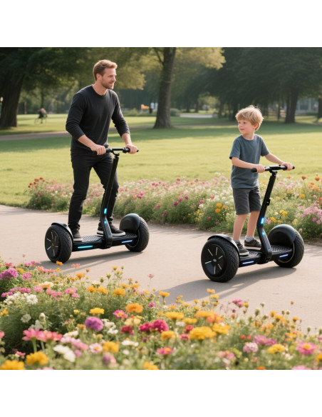 Batería de Litio 36V 4.4Ah H0vgvoard con Conector XT60