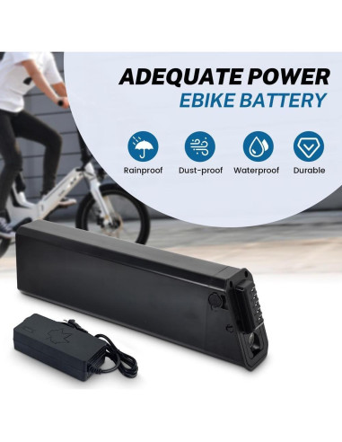 Batería de Litio Recargable 48V 10.5Ah para E-Bike Jetson Haze