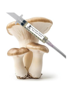 Cultivo Líquido Hongo Trumpet Rey 10cc - Suministro de Hongos Cósmicos