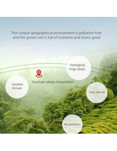 Hongo Poria Cocos Fu Ling 500g - Natural y Saludable 2