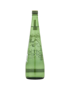 Bebida Espumosa Sin Alcohol Bottlegreen Flor de Saúco 750 ml 2