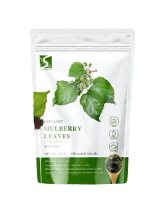 Polvo de Hoja de Morera Premium 12 x 100g Sin Cafeína