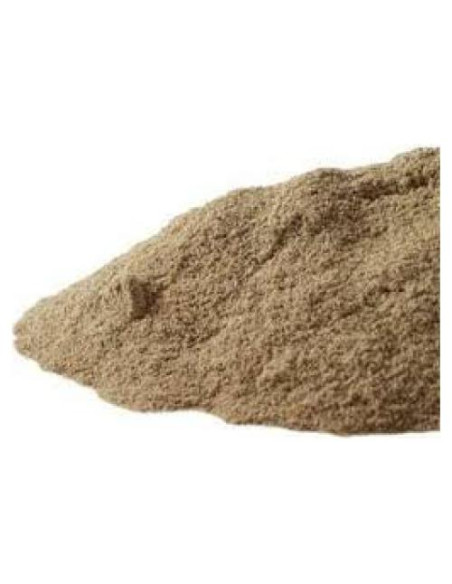 Extracto de Madre Selva Chino en Polvo 4:1 - 4 Gramos