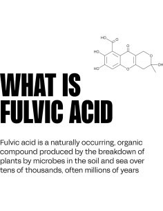 Gotas de Agua Mineral Alcalina blk. PH 8+ 59 ml con Electrolitos 2