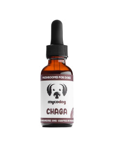 Suplemento de Hongo Chaga MycoDog para Perros - 113g