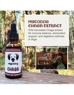 Suplemento de Hongo Chaga MycoDog para Perros - 113g 2