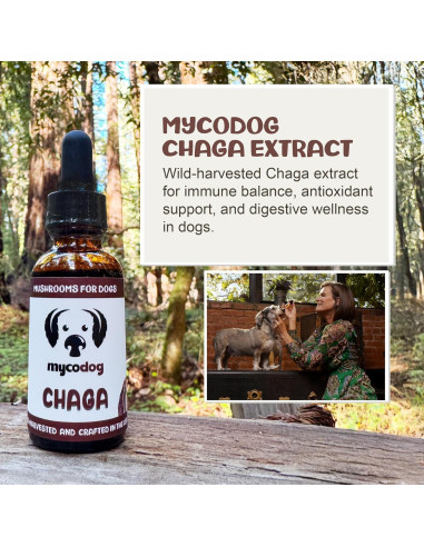 Suplemento de Hongo Chaga MycoDog para Perros - 113g