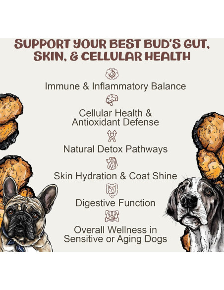 Suplemento de Hongo Chaga MycoDog para Perros - 113g