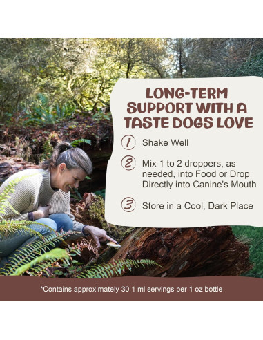 Suplemento de Hongo Chaga MycoDog para Perros - 113g