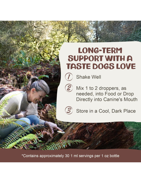 Suplemento de Hongo Chaga MycoDog para Perros - 113g