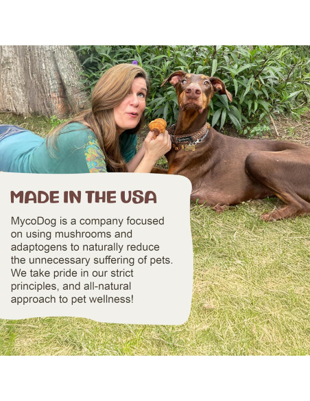 Suplemento de Hongo Chaga MycoDog para Perros - 113g