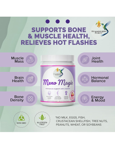 Bebida Meno Magic Hummingbird - Limonada Frambuesa 30 Porciones