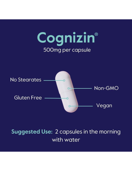 Cognizin Citicolina 500mg Bestvite 60 Cápsulas Veganas
