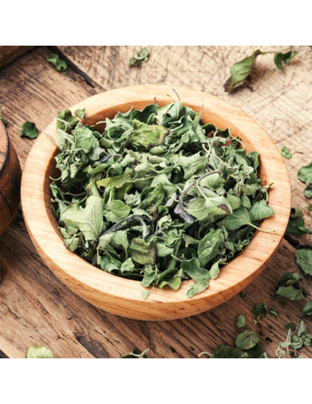 Orégano Molido Olive & Vine 133g - Sazonador Aromático